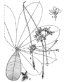 Thumbnail for version as of 17:57, 2 July 2025