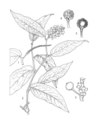 Thumbnail for version as of 17:55, 2 July 2025