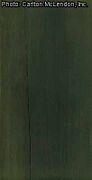 wood (Carlton McLendon)