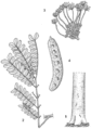 Thumbnail for version as of 17:56, 2 July 2025